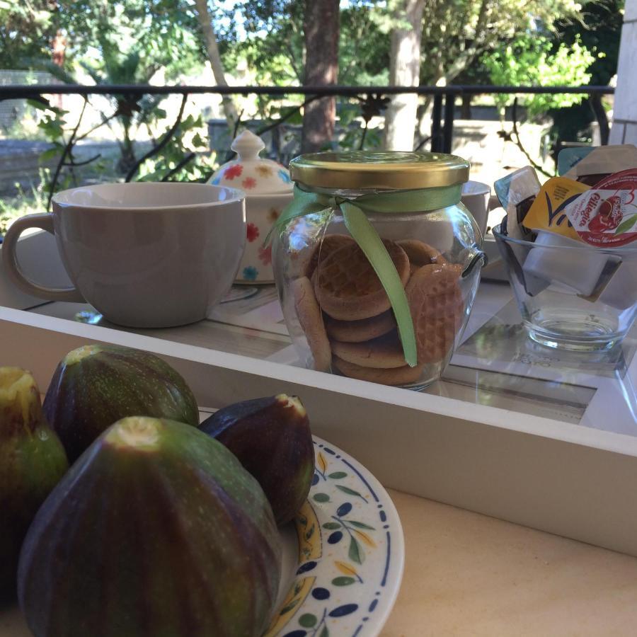 Villa L'Ottagono Con Cucina Parcheggio Privato Telecamerizzato E Wifi Gioia Del Colle Exterior foto